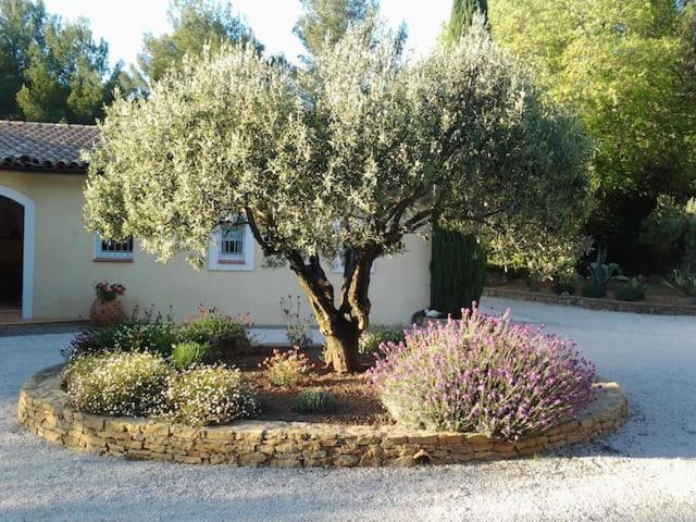 Maison Privee Au Calme Dans Mas Provencal Sanary-sur-Mer Exterior foto
